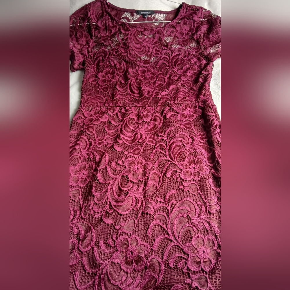 Elegant Burgundy Lace Dress - Picture 4 of 6